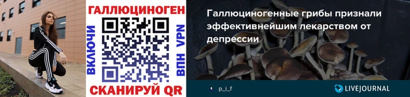 Псилоцибиновые грибы Magic Shrooms  купить   Великий Новгород 