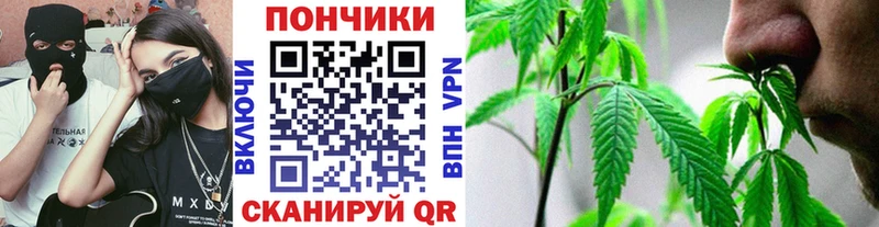 МЕГА сайт Великий Новгород Шишки марихуана конопля